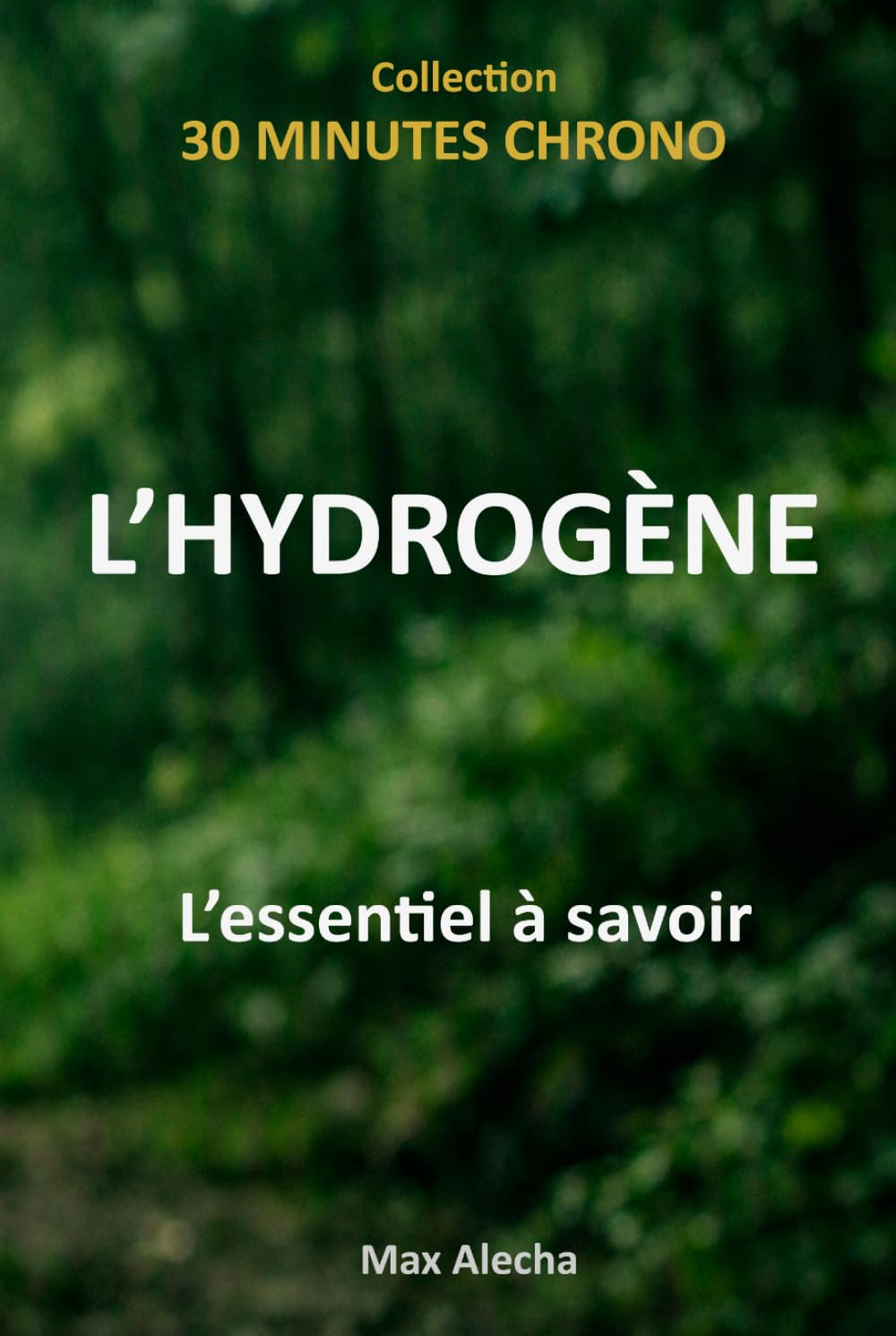 L'hydrogène: L'essentiel à savoir (30 Minutes Chrono) (French Edition) baixar o livro de graça