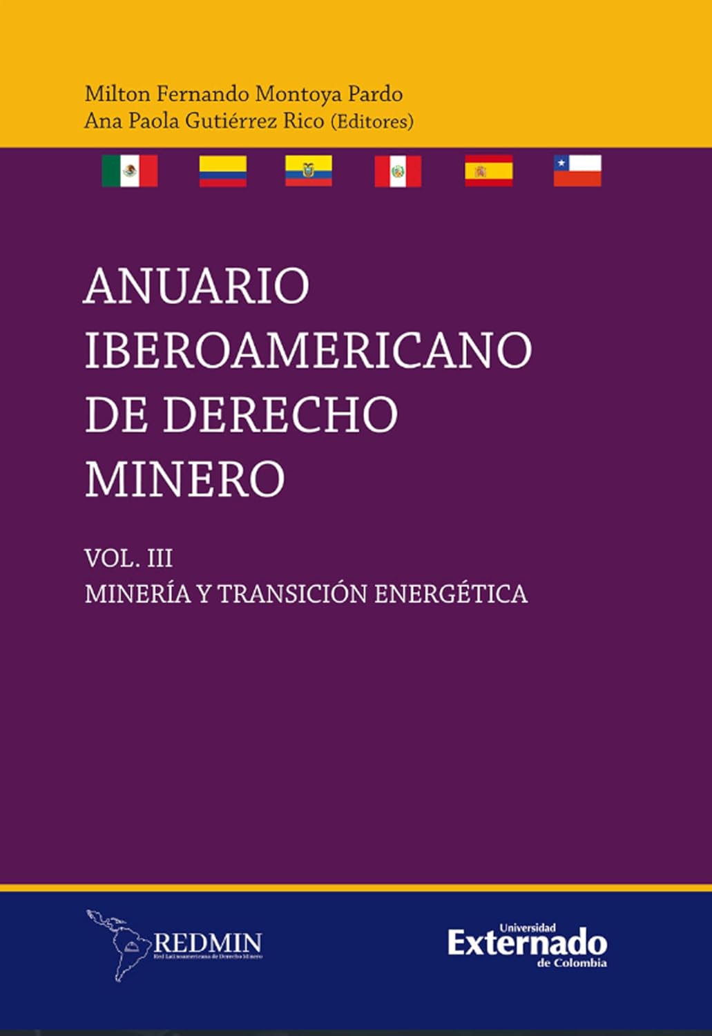 Anuario iberoamericano de derecho minero. VIII: Minería y transición energética (Spanish Edition) baixar o livro de graça