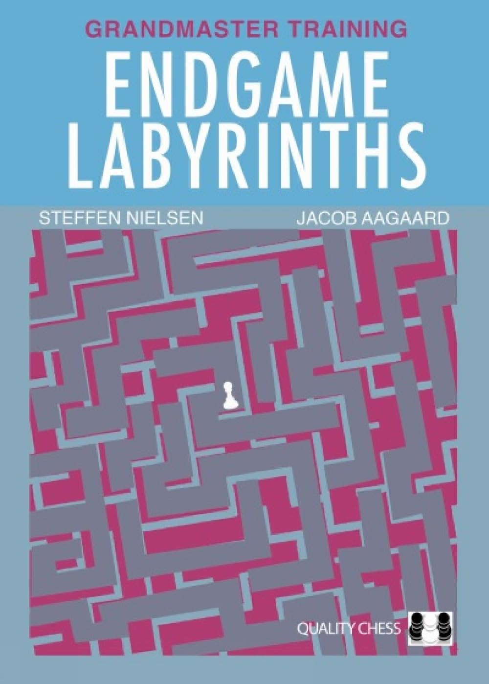 Endgame Labyrinths baixar livro de graça