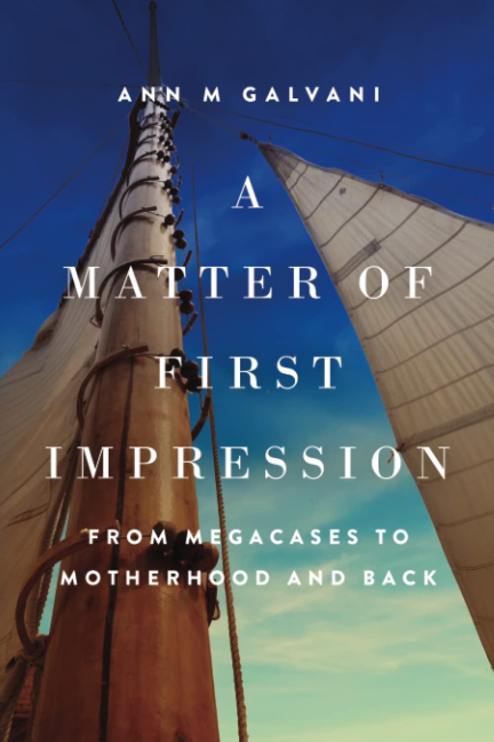 A Matter of First Impression: From Megacases to Motherhood and Back (Uncharted Waters) baixar o livro de graça