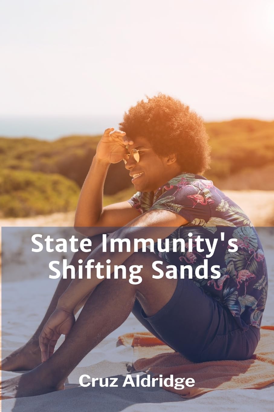 ler totalmente State Immunity's Shifting Sands: Analyzing the Evolution of Jurisdictional Exemptions in a Globalized World