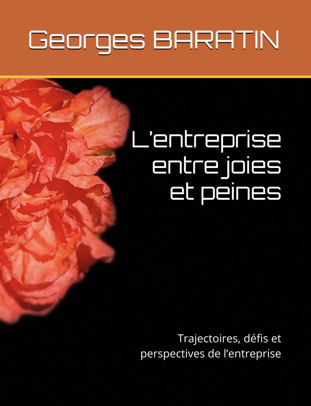 L'entreprise entre joies et peines: Trajectoires, défis et perspectives de l'entreprise baixar livro de graça