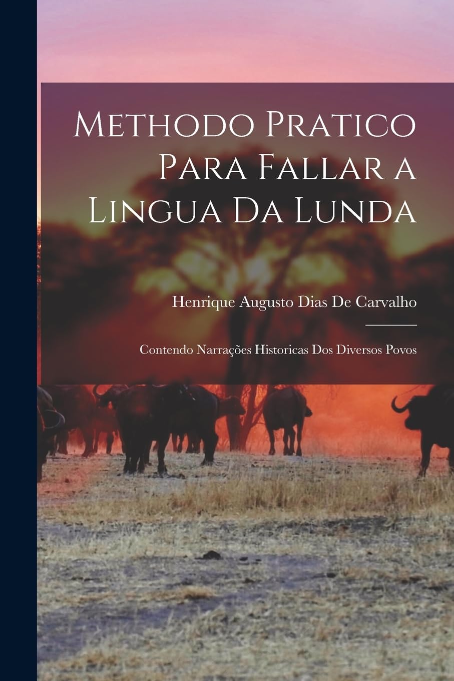 Methodo Pratico Para Fallar a Lingua Da Lunda: Contendo Narrações Historicas Dos Diversos Povos baixar o livro de graça