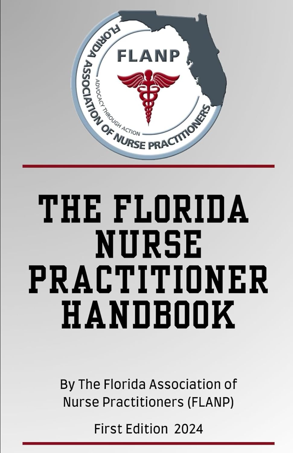 The Florida Nurse Practitioner Handbook baixar livro de graça