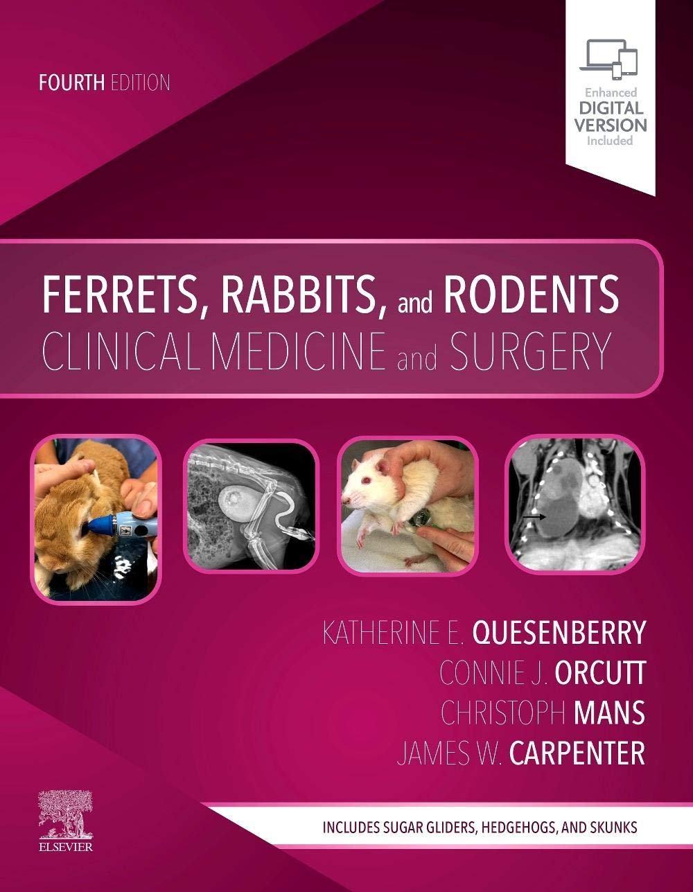 ler totalmente Ferrets, Rabbits, and Rodents: Clinical Medicine and Surgery