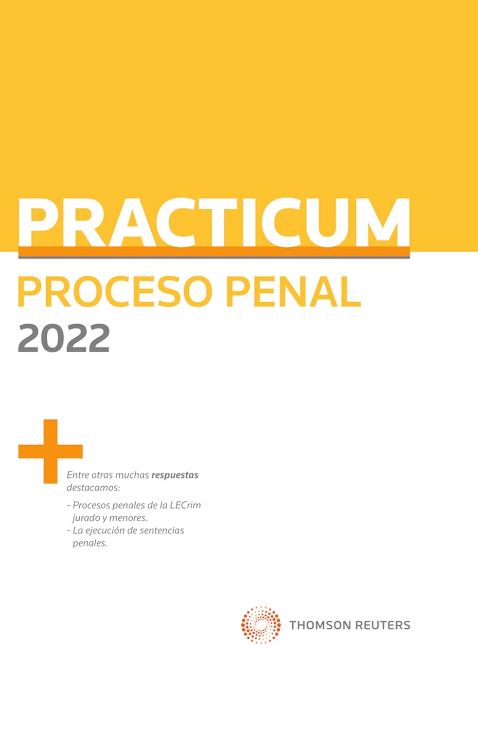 Practicum Proceso Penal 2022 (Spanish Edition)