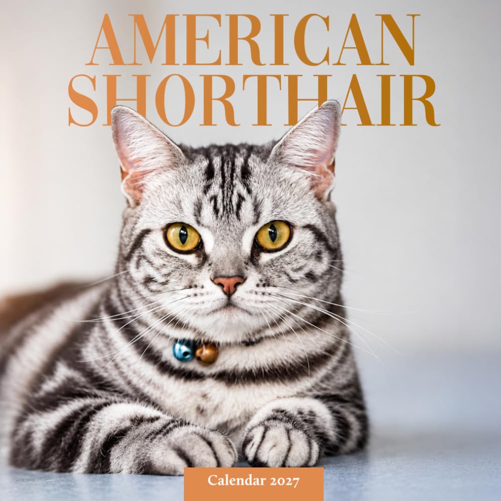 American Shorthair Cats Calendar 2027: Classic Cat Photography