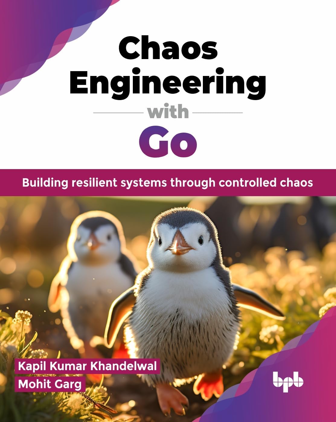 Chaos Engineering with Go: Building resilient systems through controlled chaos (English Edition) baixar livro de graça