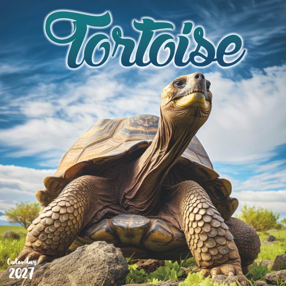 Tortoise 2027 Calendar: 12 Months of Shelled Reptiles in Nature baixar o livro de graça