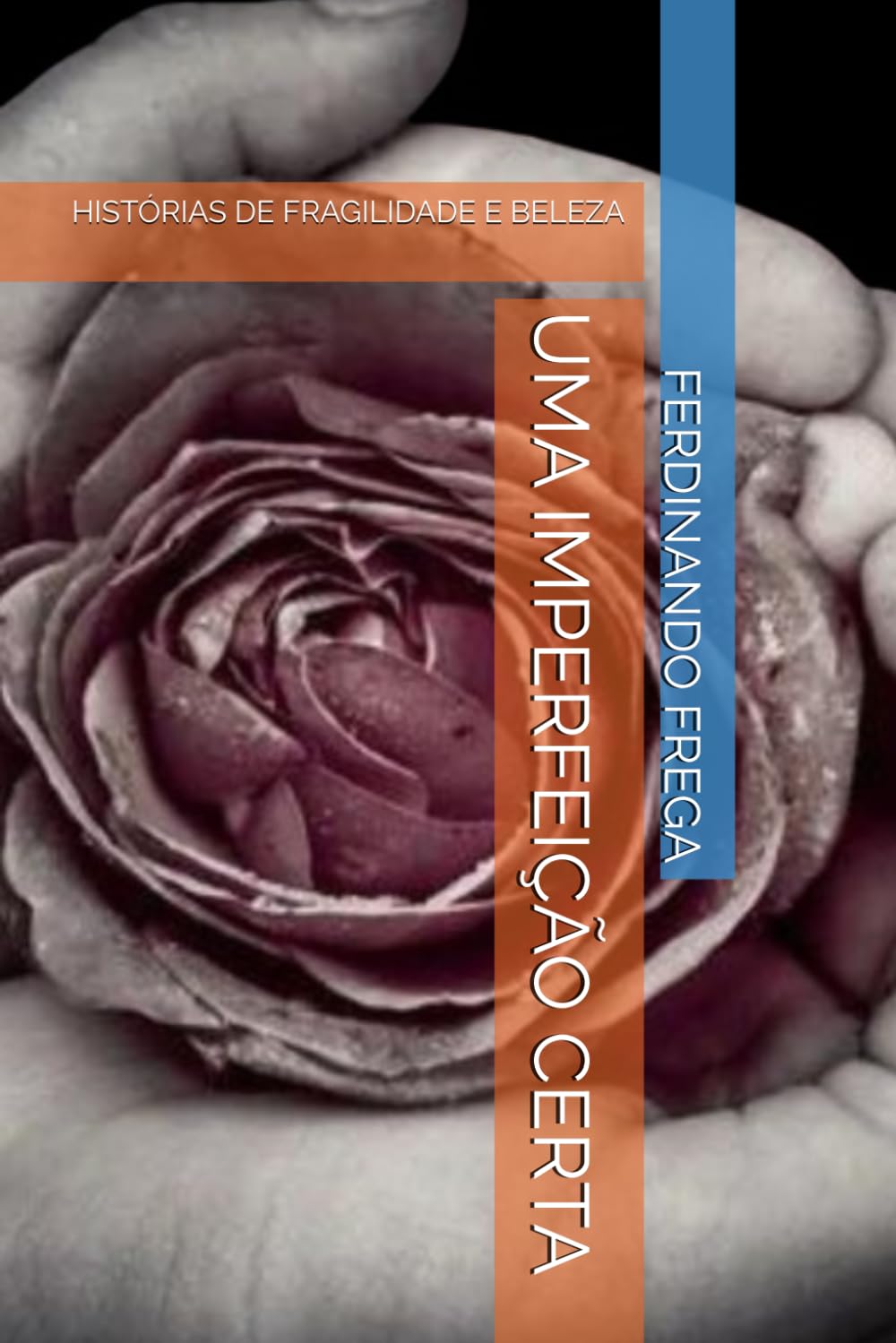 UMA IMPERFEIÇÃO CERTA: HISTÓRIAS DE FRAGILIDADE E BELEZA (MEU BRASIL) (Portuguese Edition) baixar livro de graça
