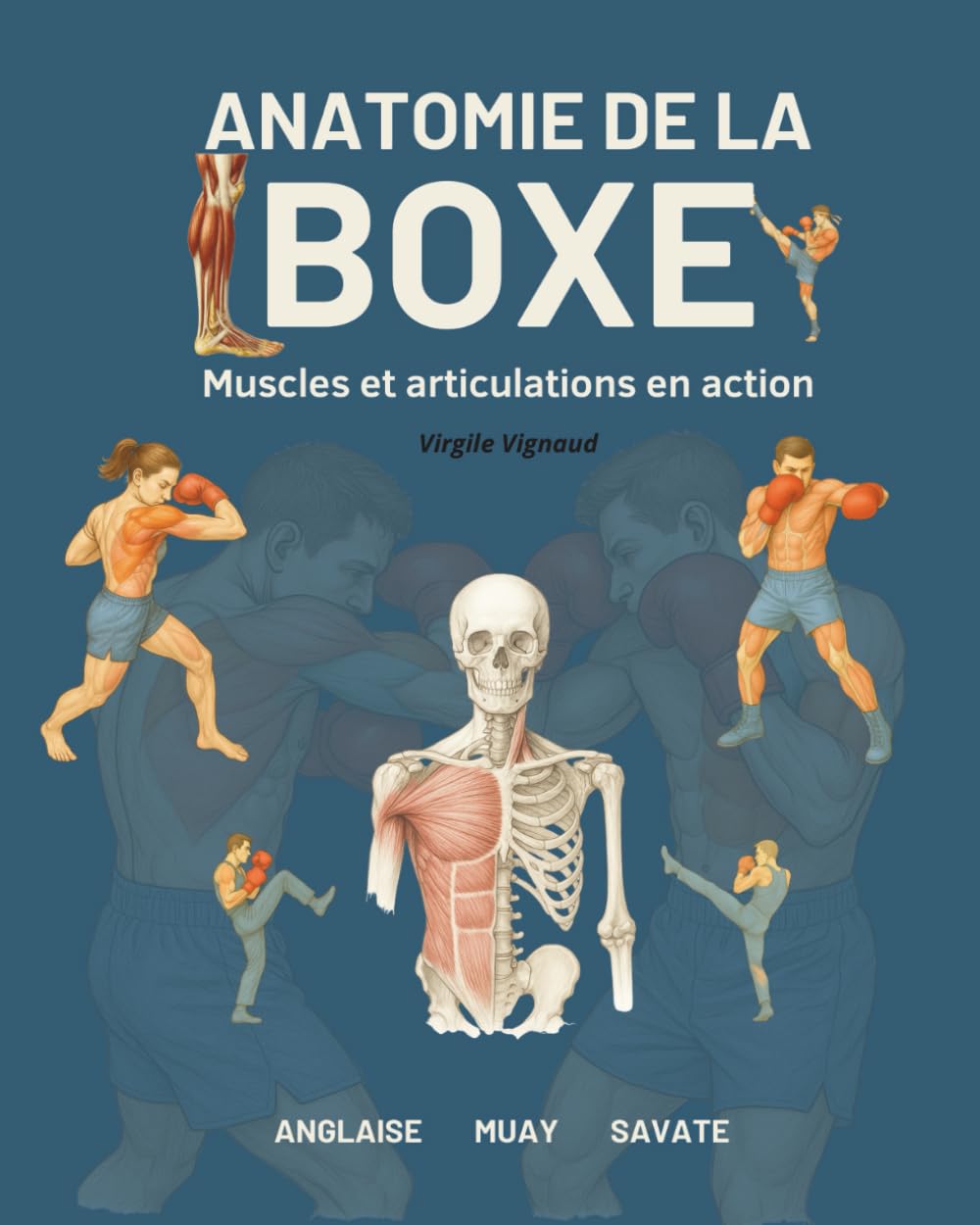 capítulo por capítulo baixar ANATOMIE DE LA BOXE: Muscles et articulations en action