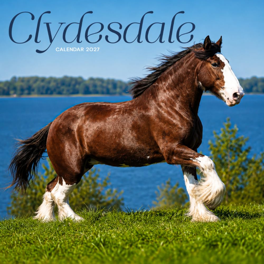 ler totalmente Clydesdale Horse Calendar 2027: Draft Horse Portraits and Farm Scenes