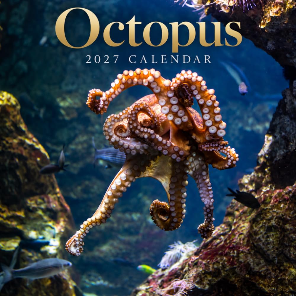 Octopus Calendar 2027: Cephalopod Marine Photography