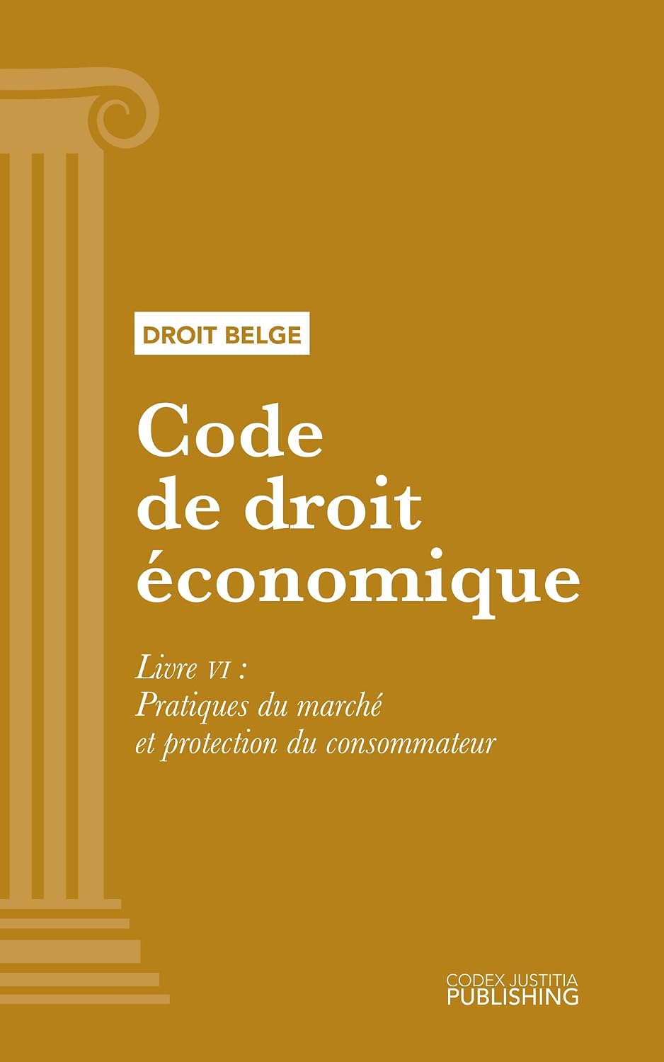 Code de droit économique: Livre VI - Pratiques du marché et protection du consommateur (French Edition) baixar o livro de graça