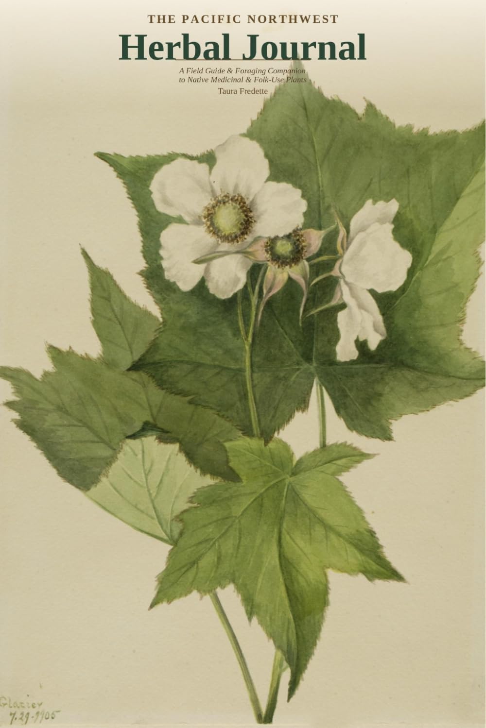 The Pacific Northwest Herbal Journal baixar o livro de graça