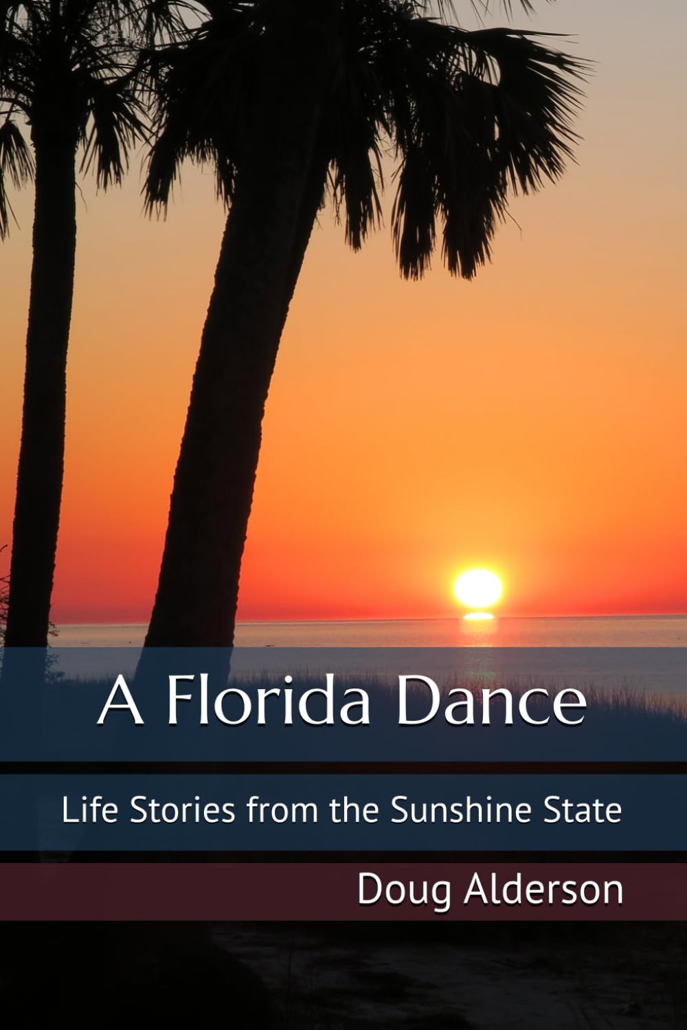 ler totalmente A Florida Dance: Life Stories from the Sunshine State