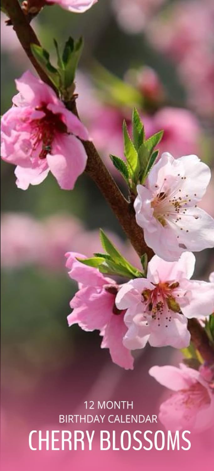 capítulo por capítulo baixar Perpetual Birthday Calendar: Cherry Blossoms Photography for Each Month of the Year