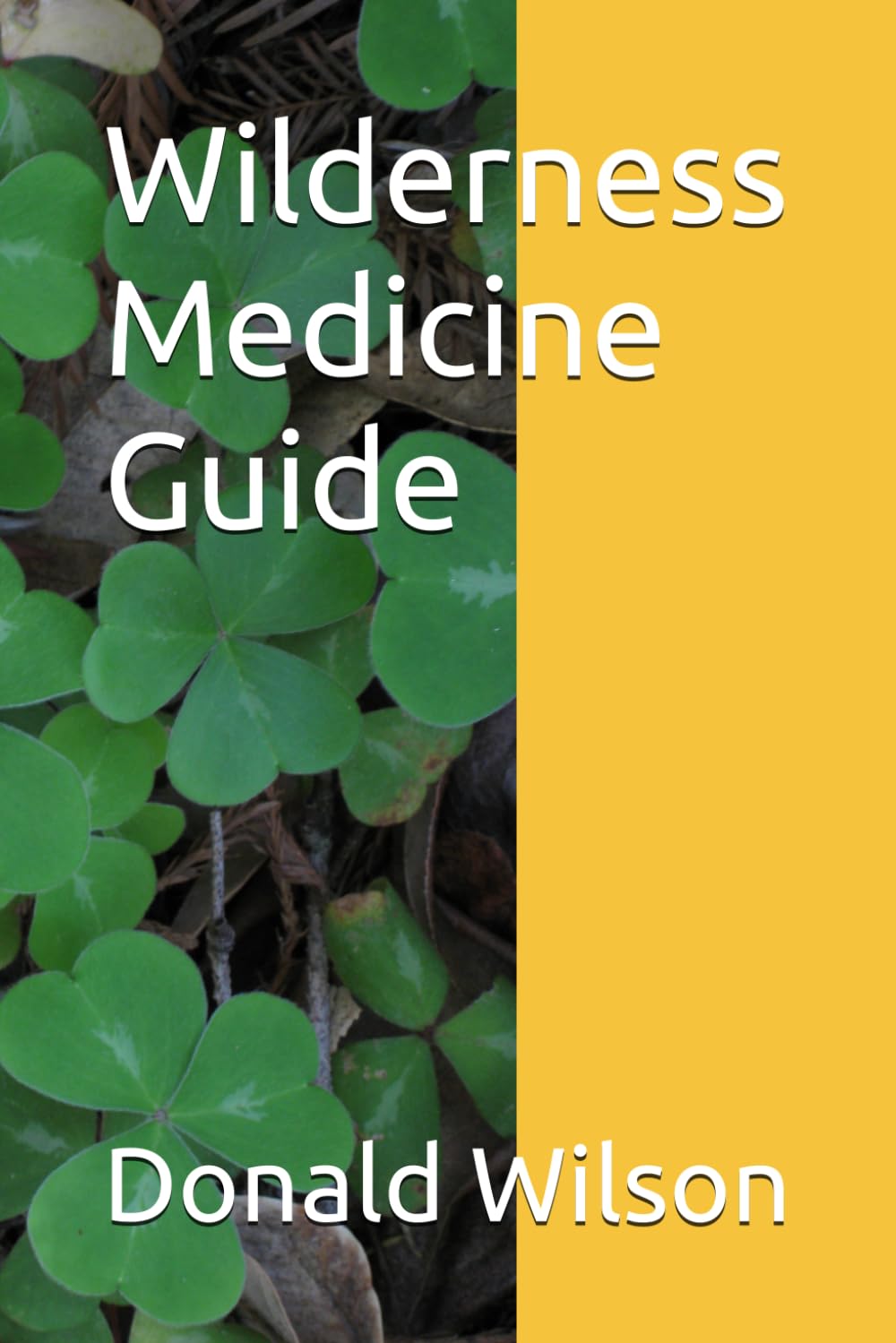 Wilderness Medicine Guide
