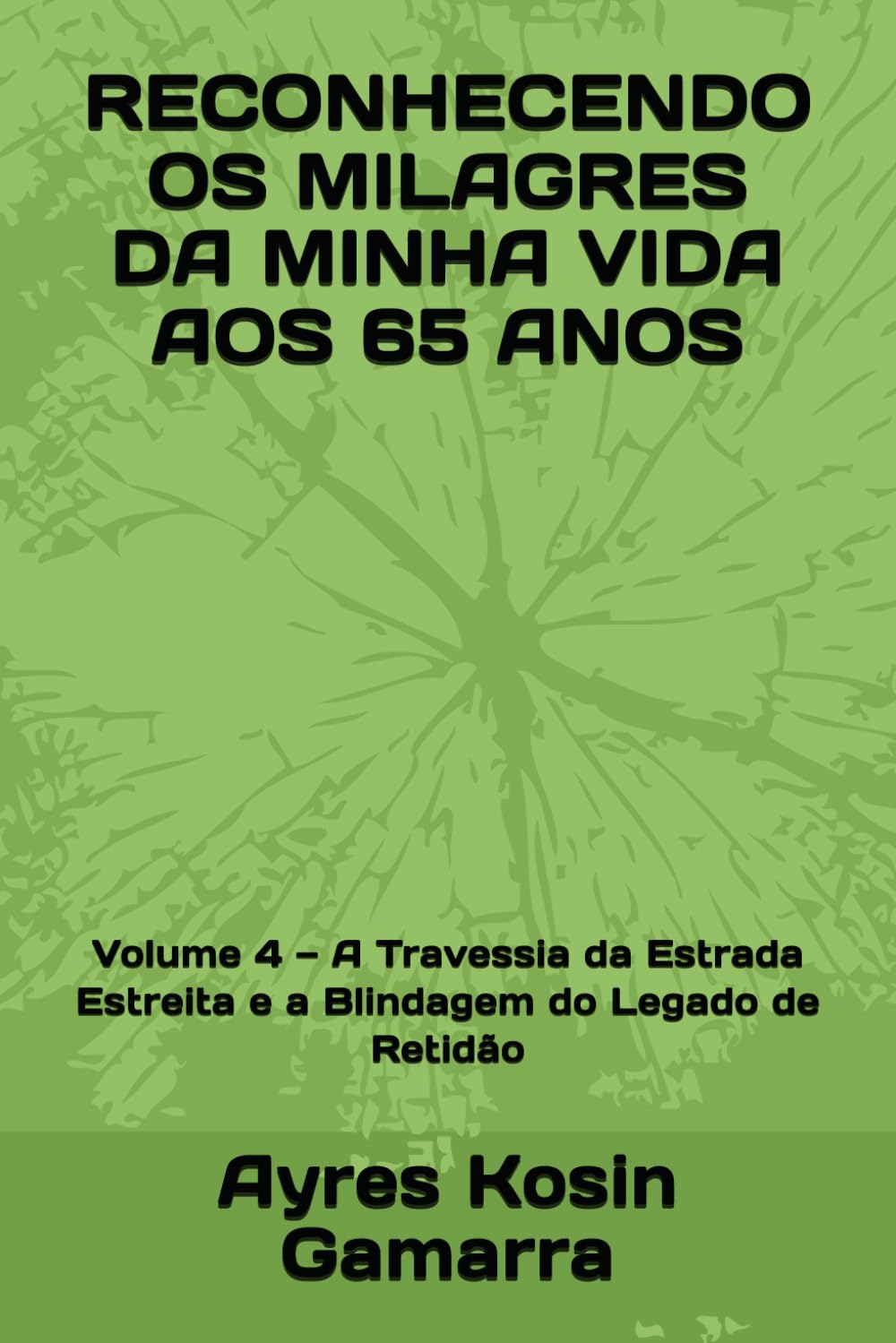capítulo por capítulo baixar RECONHECENDO OS MILAGRES DA MINHA VIDA AOS 65 ANOS: Volume 4 — A Travessia da Estrada Estreita e a Blindagem do Legado de Retidão (Portuguese Edition)