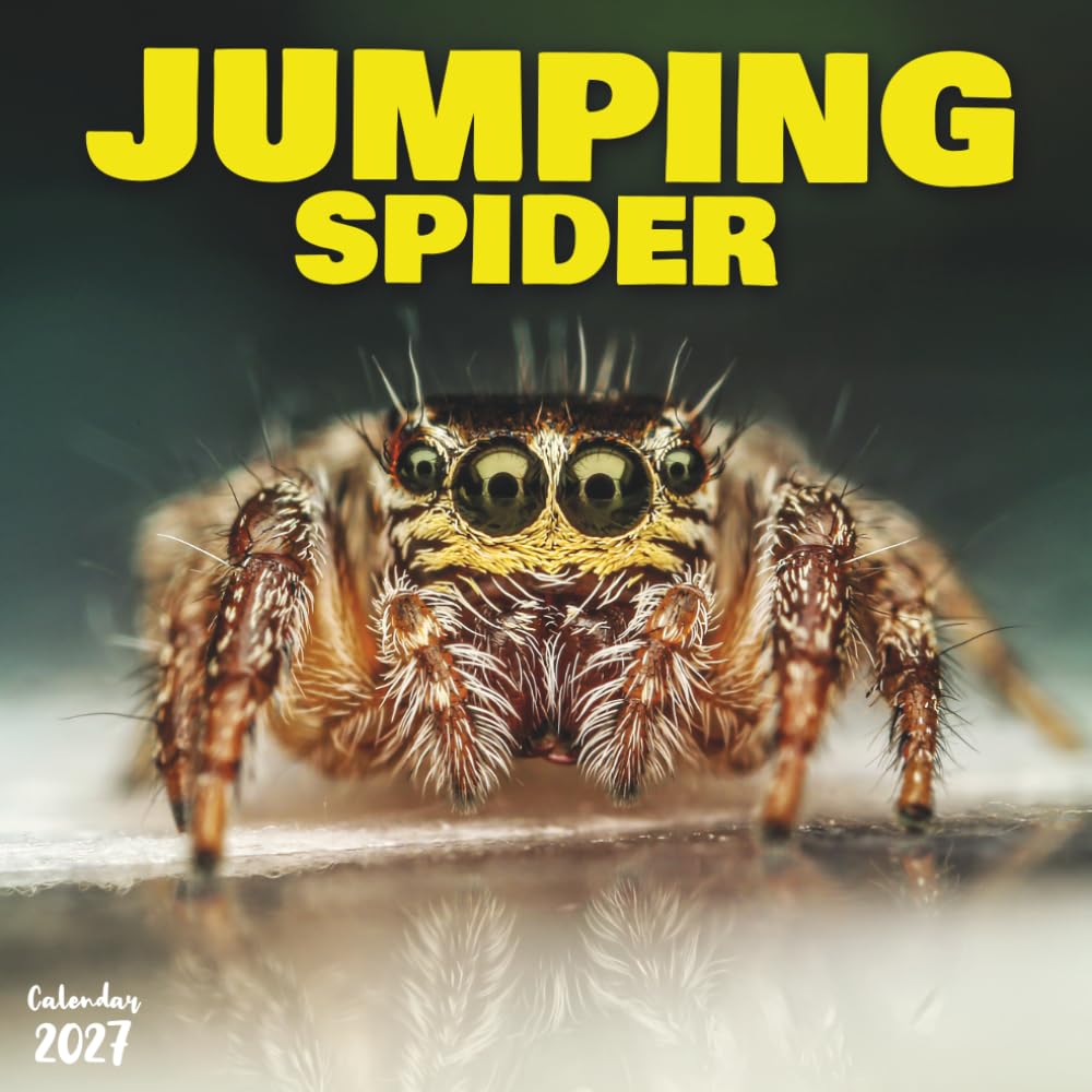 Jumping Spider 2027 Calendar: 12 Months of Macro Shots