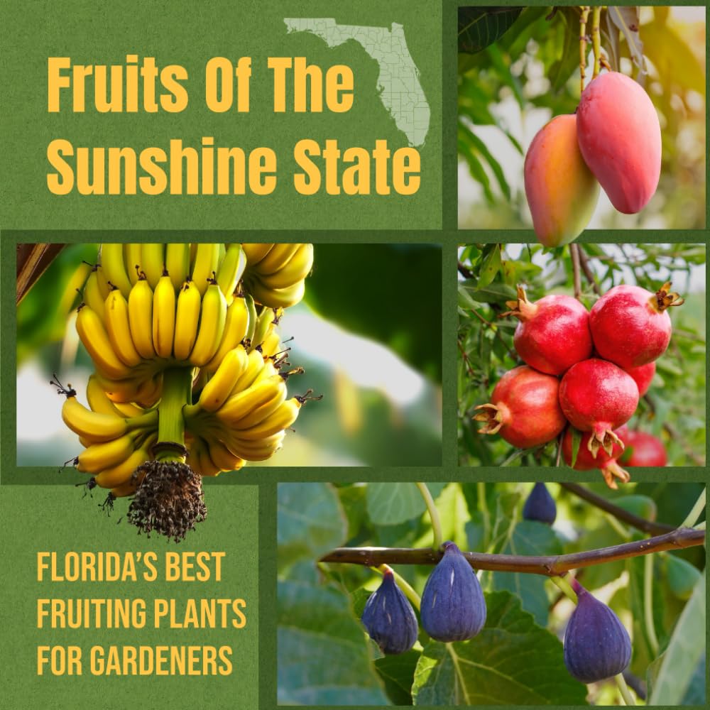 Fruits Of The Sunshine State: Florida’s Best Fruiting Plants For Gardeners baixar o livro de graça