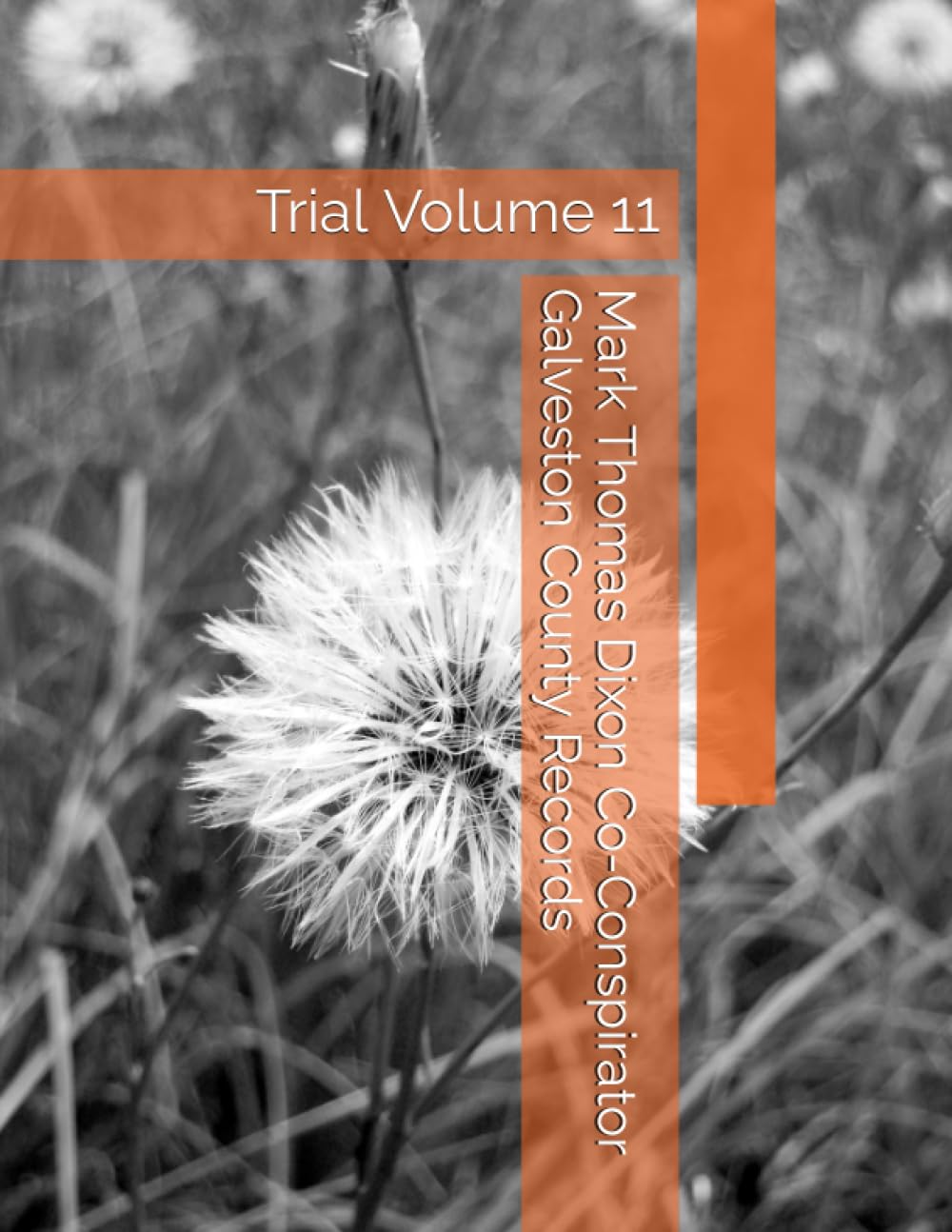 Mark Thomas Dixon Co-Conspirator Galveston County Records: Trial Volume 11 (Barbara Holder Trial Records) baixar livro de graça