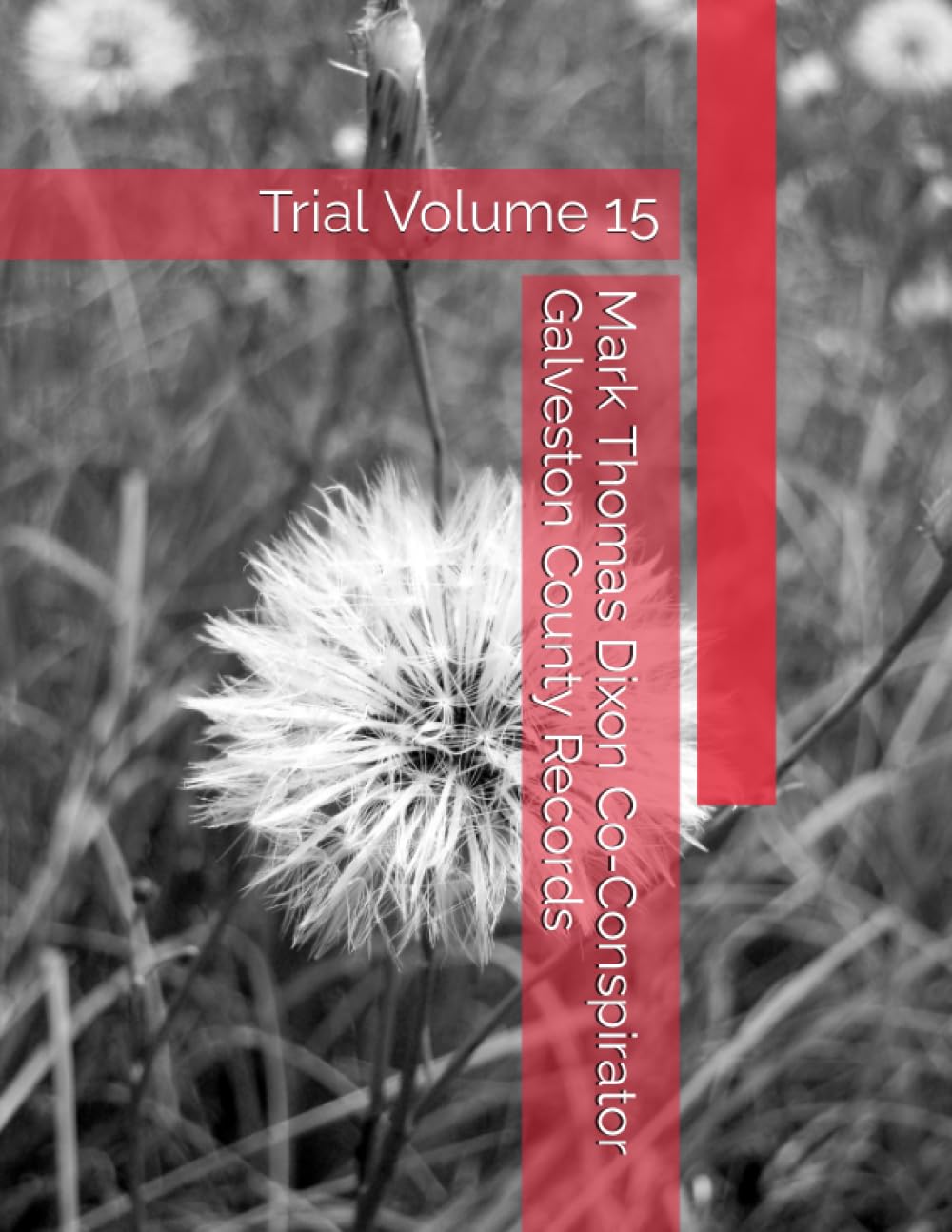 ler totalmente Mark Thomas Dixon Co-Conspirator Galveston County Records: Trial Volume 15 (Barbara Holder Trial Records)