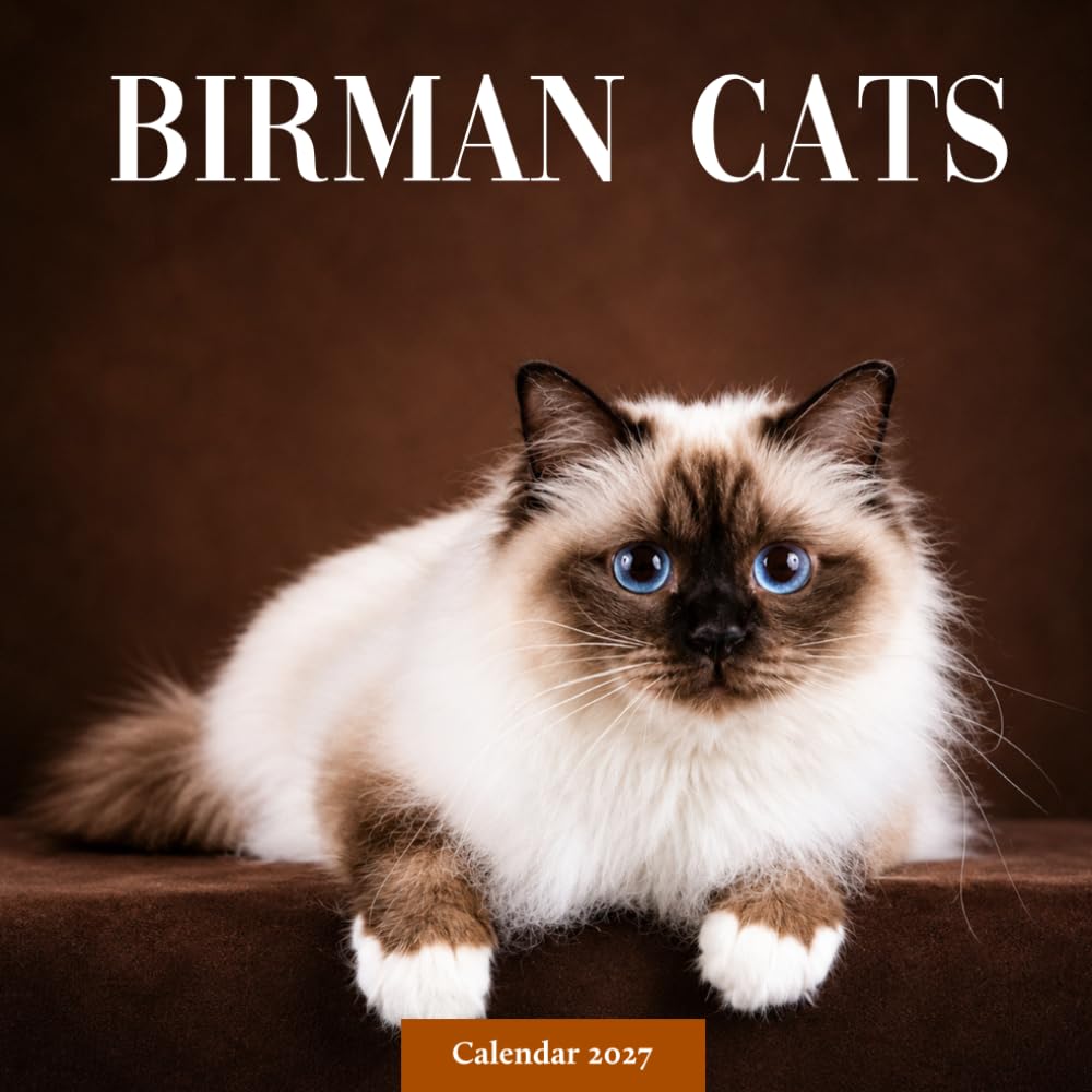 capítulo por capítulo baixar Birman Cats Calendar 2027: Longhaired Cat Photography