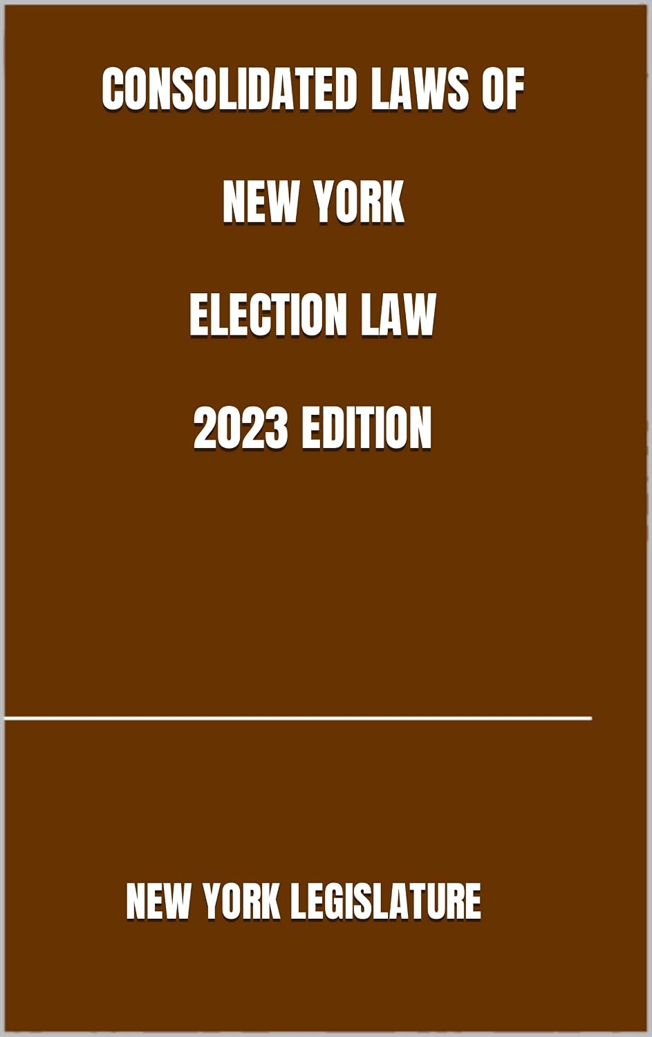 capítulo por capítulo baixar CONSOLIDATED LAWS OF NEW YORK ELECTION LAW 2023 EDITION (English Edition)