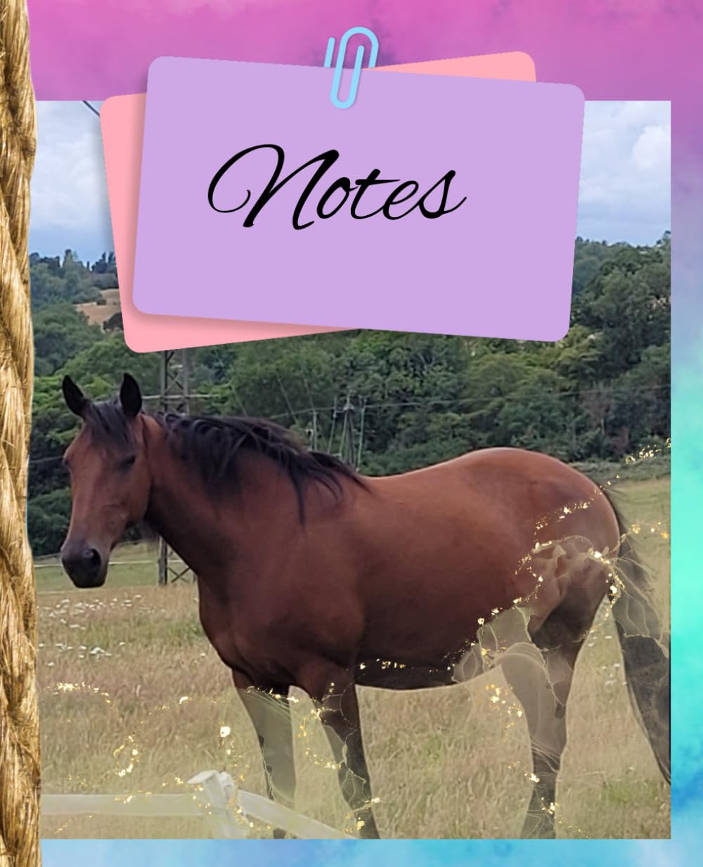 Horse Notebook: Lined notebook for horse lovers baixar o livro de graça