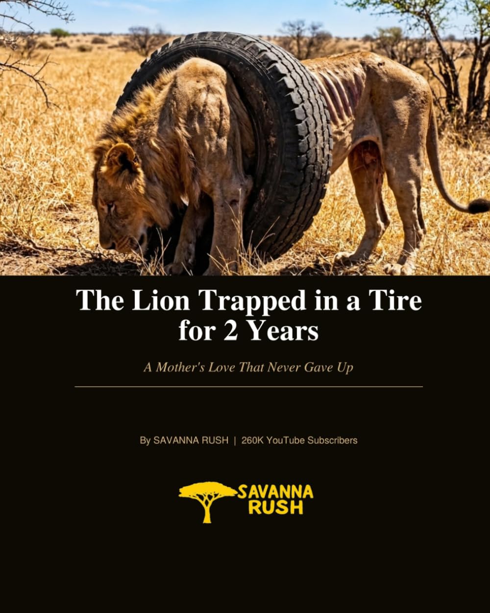 The Lion Trapped in a Tire for 2 Years: A Mother's Love That Never Gave Up (SAVANNA RUSH Wildlife Stories) baixar o livro de graça