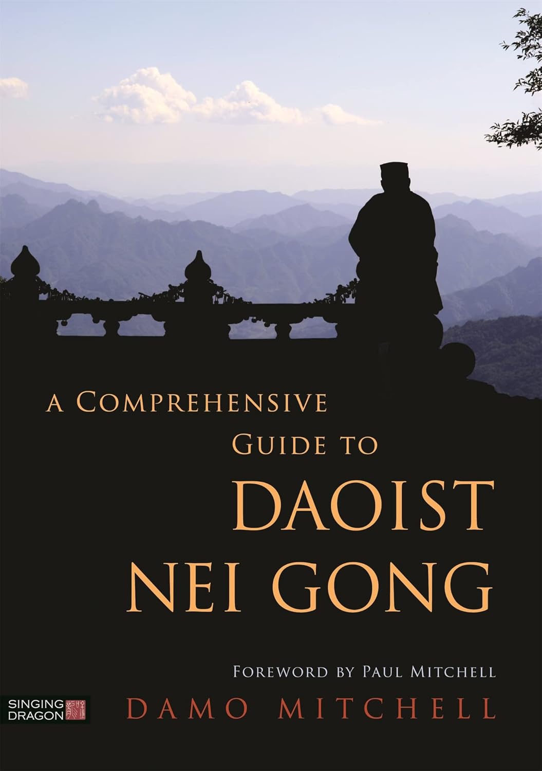 A Comprehensive Guide to Daoist Nei Gong (English Edition) baixar livro de graça