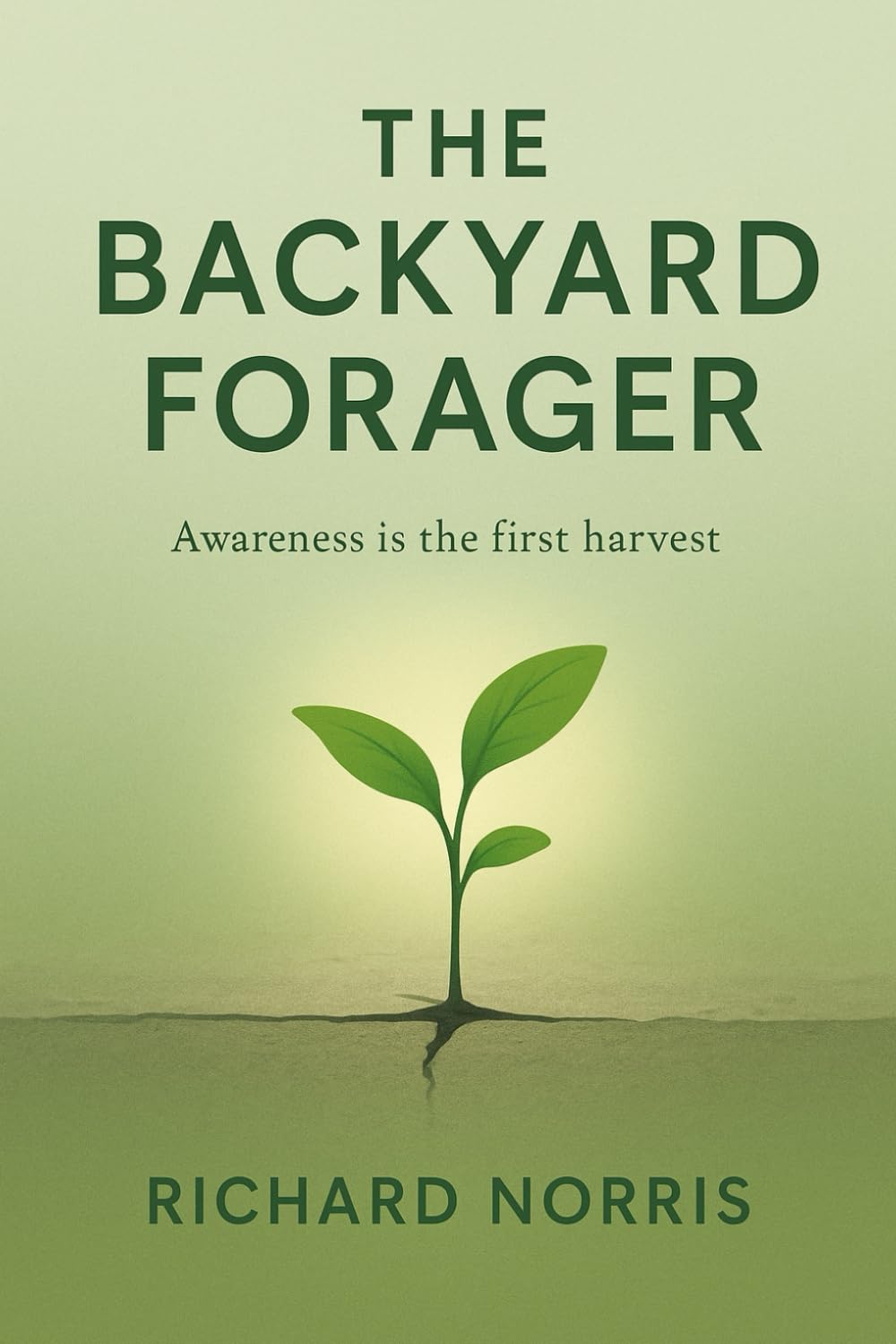 The Backyard Forager: Awareness is the First Harvest.