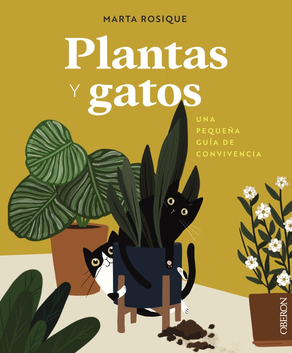 Plantas y gatos: Una pequeña guía de convivencia