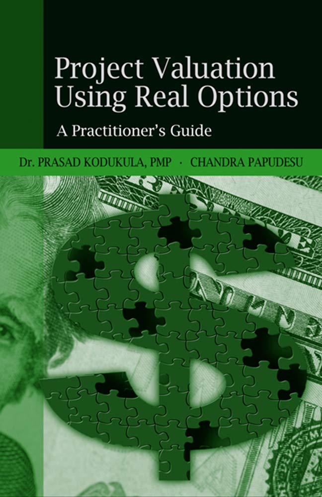 Project Valuation Using Real Options: A Practitioner's Guide baixar o livro de graça