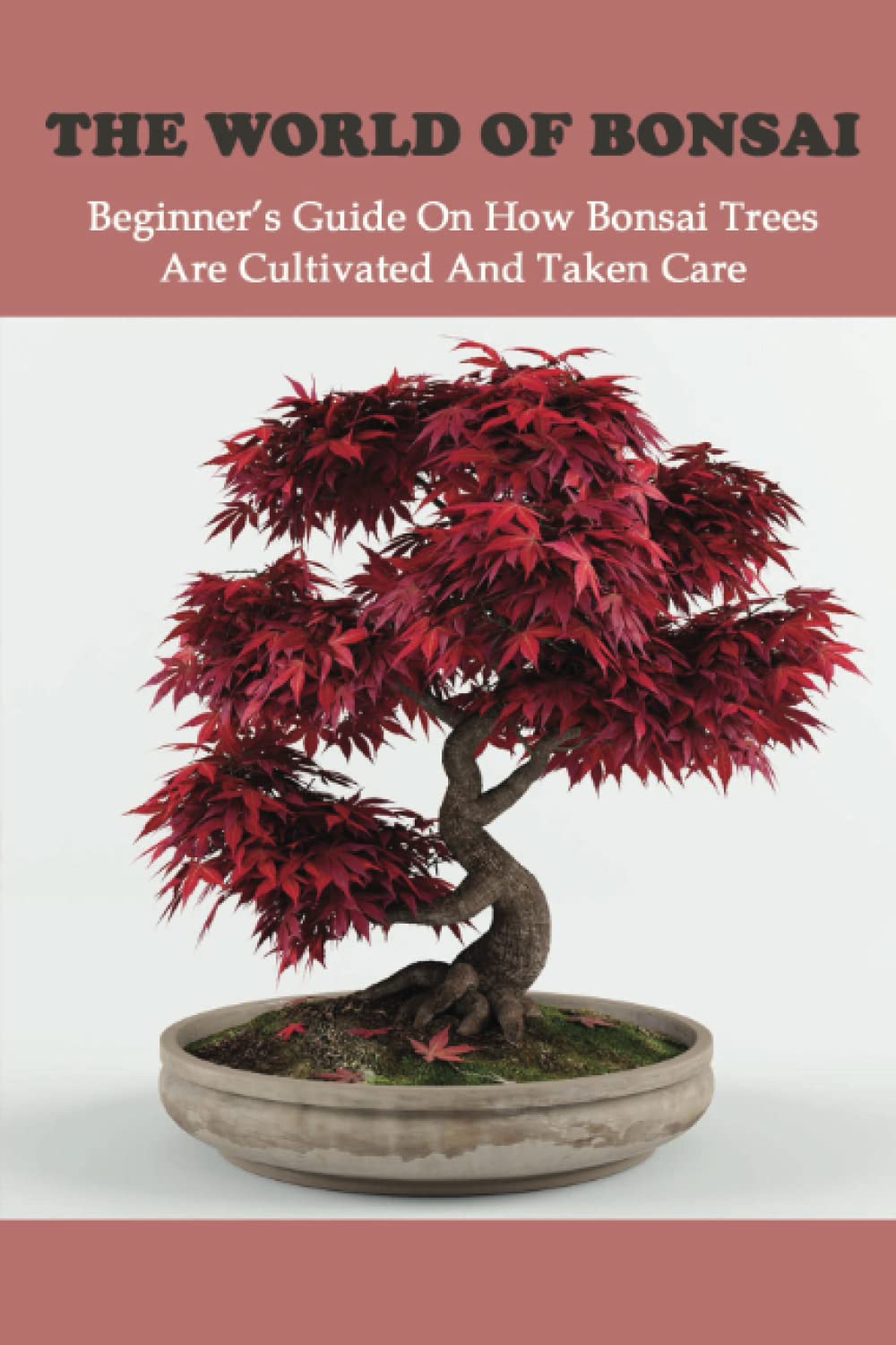 ler totalmente The World Of Bonsai: Beginner’s Guide On How Bonsai Trees Are Cultivated And Taken Care