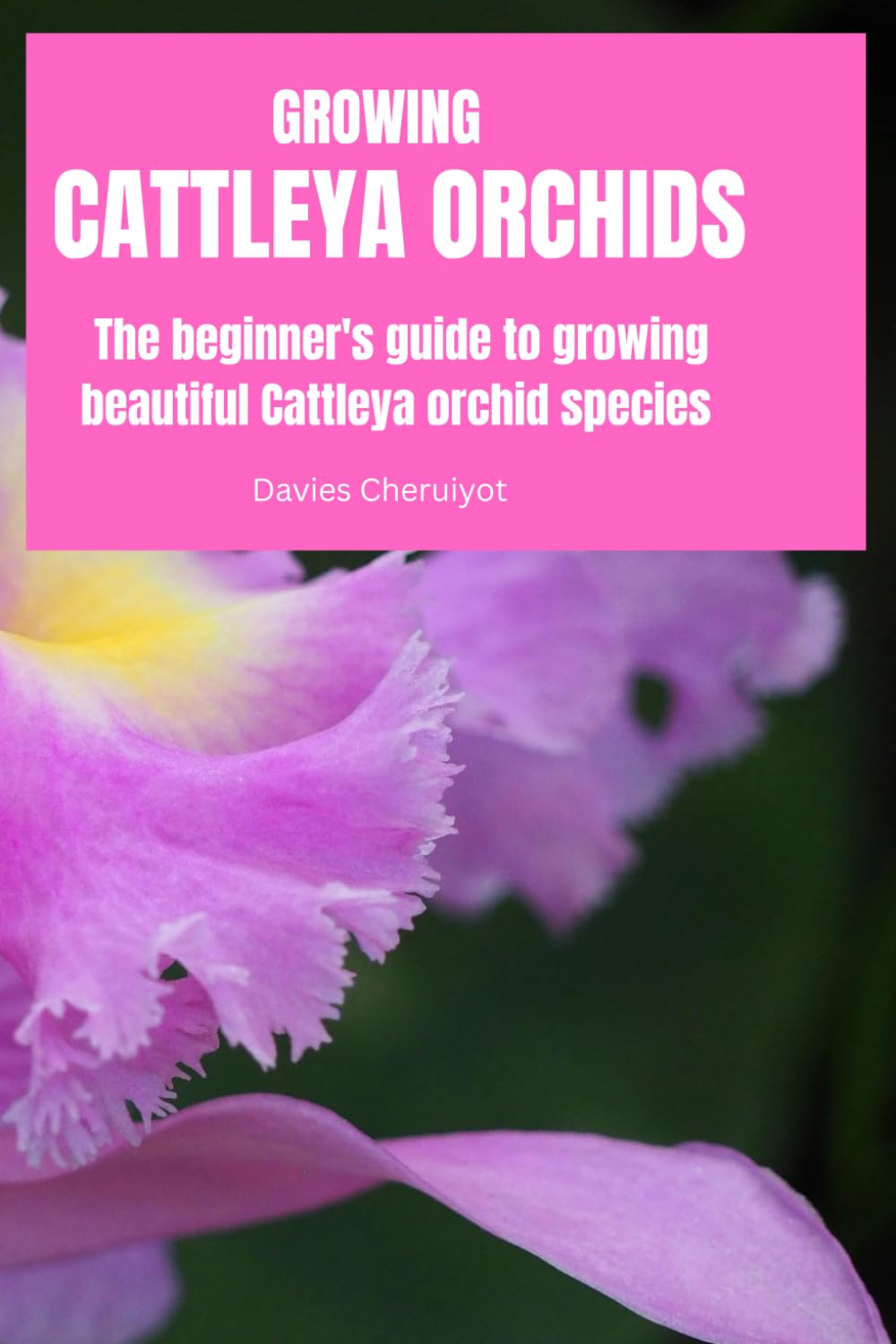 ler totalmente Growing Cattleya Orchids: The beginner's guide to growing beautiful Cattleya orchid species