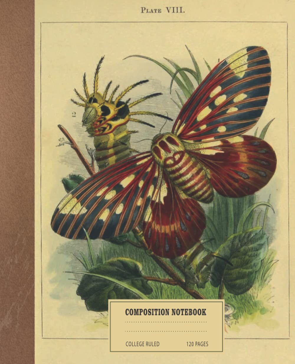 ler totalmente Composition Notebook: Vintage Moths and Caterpillar Illustration. College Ruled, 120 Pages, 7.5" x 9.25": The perfect composition notebook for writers... vintage moths and Caterpillar illustration