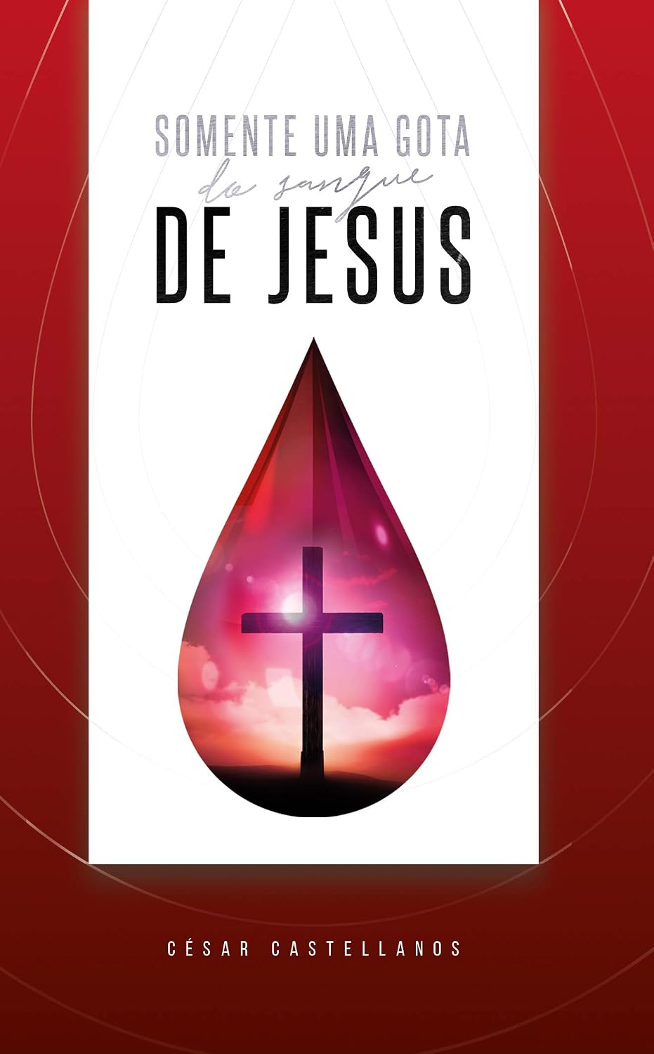 Somente uma Gota do Sangue de Jesus baixar livro de graça
