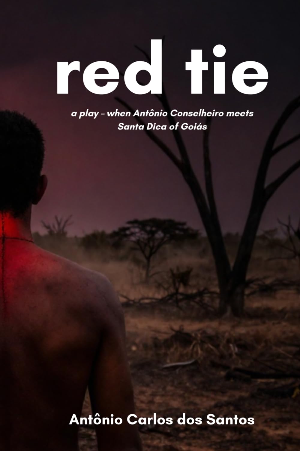 Red tie: A play - when Antônio Conselheiro meets Santa Dica of Goiás baixar o livro de graça