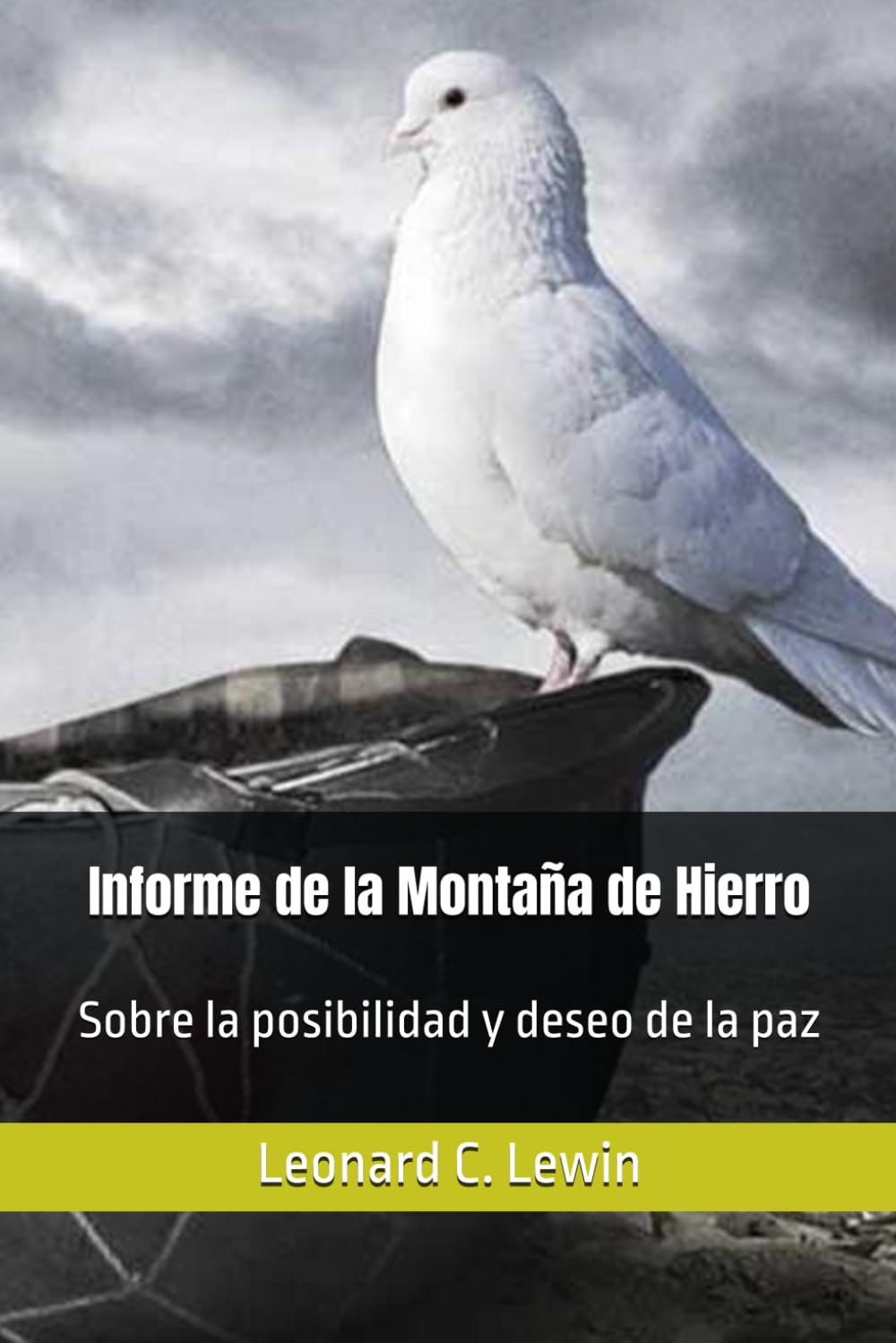 ler totalmente Informe de la Montaña de Hierro: Sobre la posibilidad y deseo de la paz (Spanish Edition)
