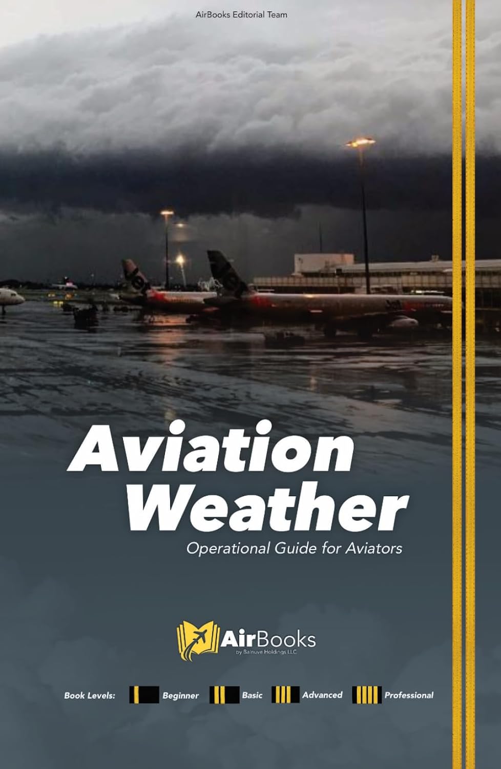 ler totalmente Aviation Weather: Operational Guide for Aviators. Premium Full-Color Edition