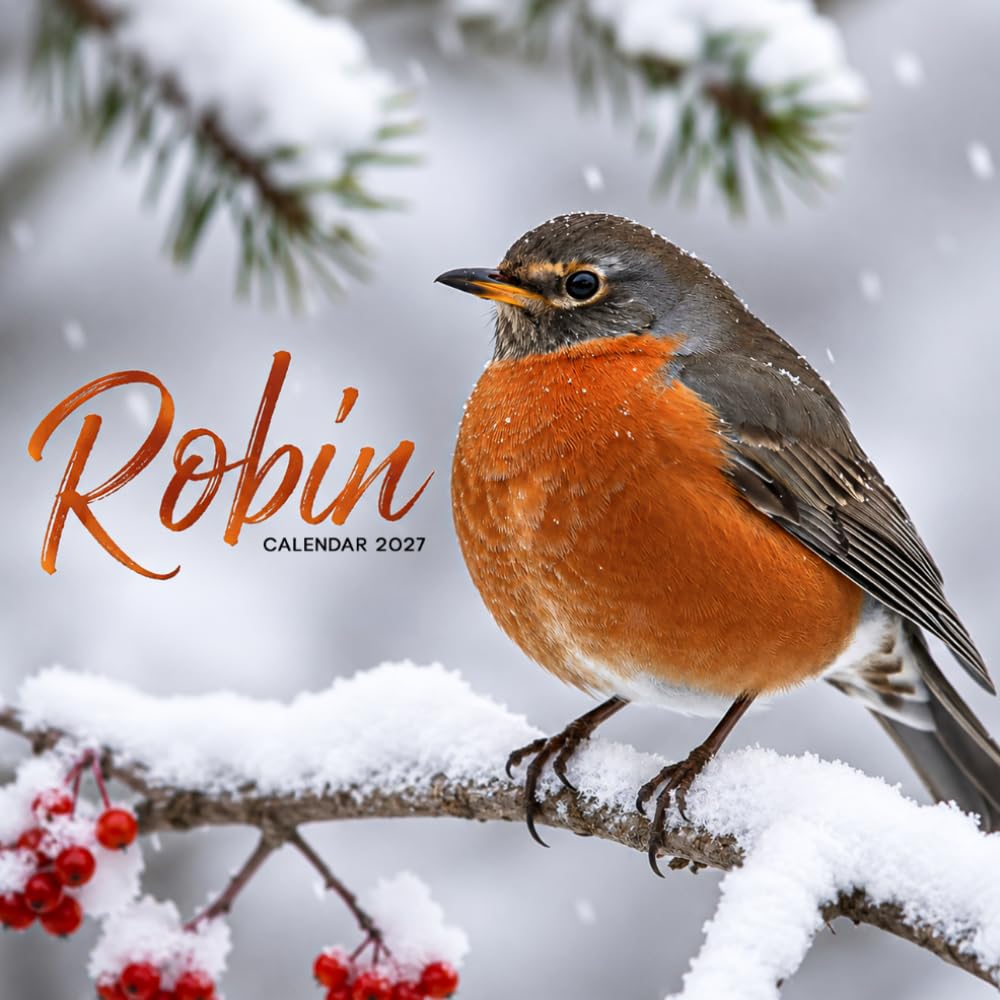 Robin Calendar 2027: Garden Birds and Woodland Scenes