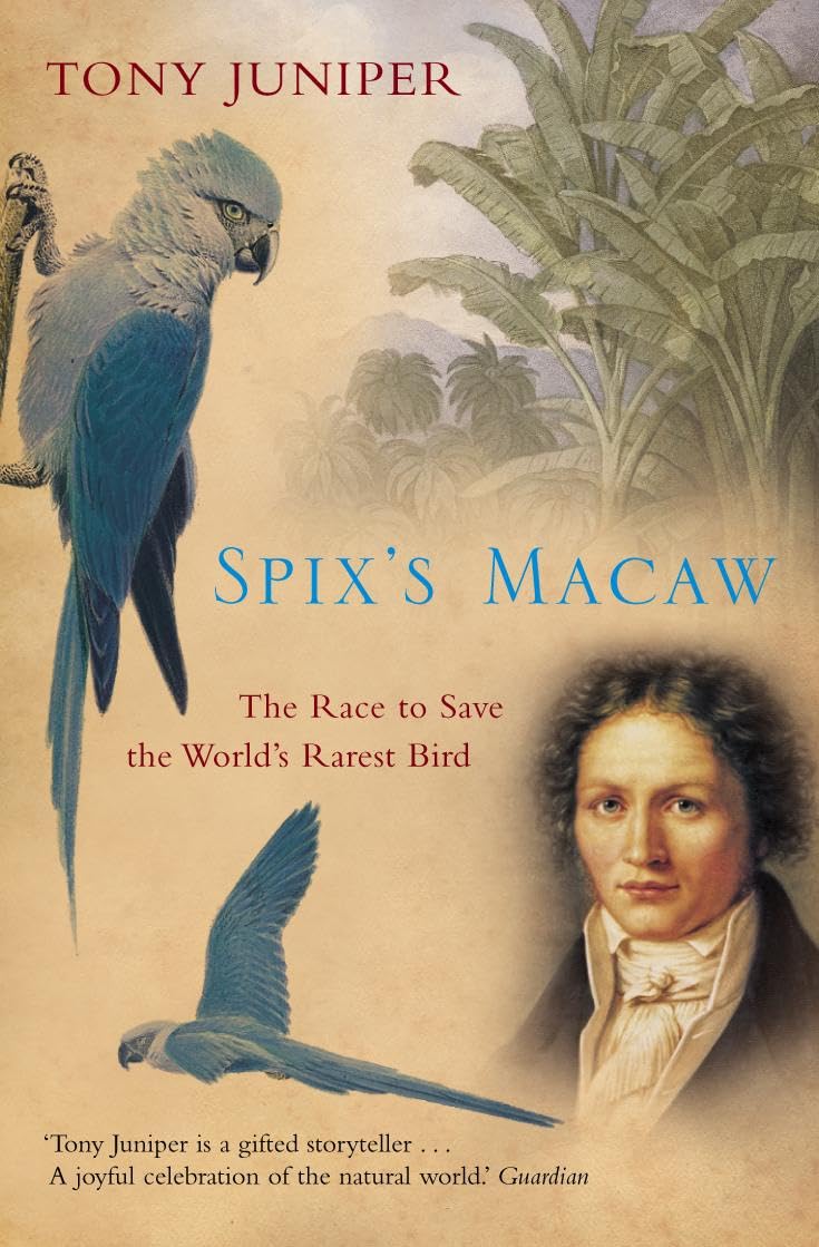 capítulo por capítulo baixar Spix's Macaw: The Race to Save the World's Rarest Bird