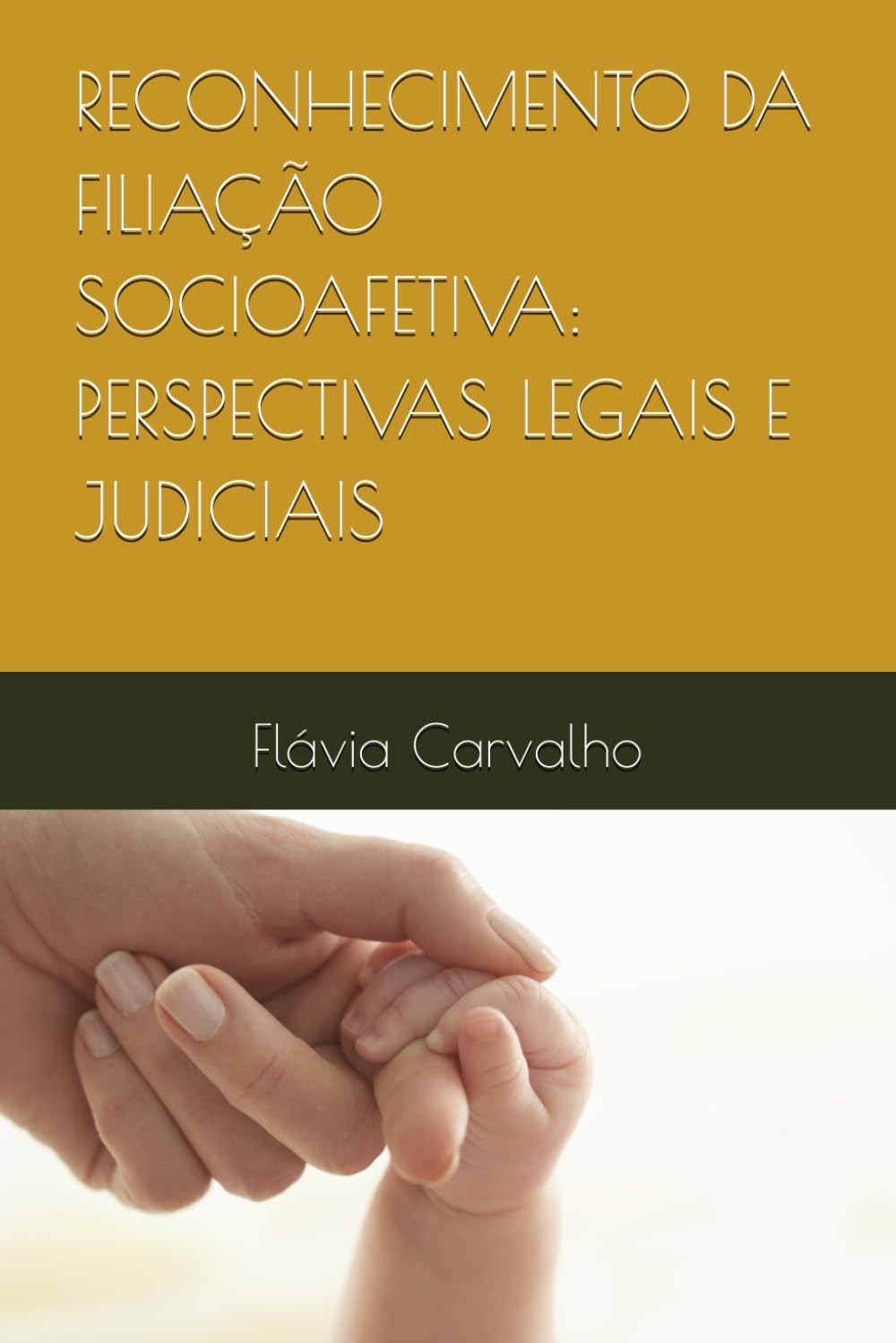 RECONHECIMENTO DA FILIAÇÃO SOCIOAFETIVA: PERSPECTIVAS LEGAIS E JUDICIAIS (Portuguese Edition) baixar o livro de graça