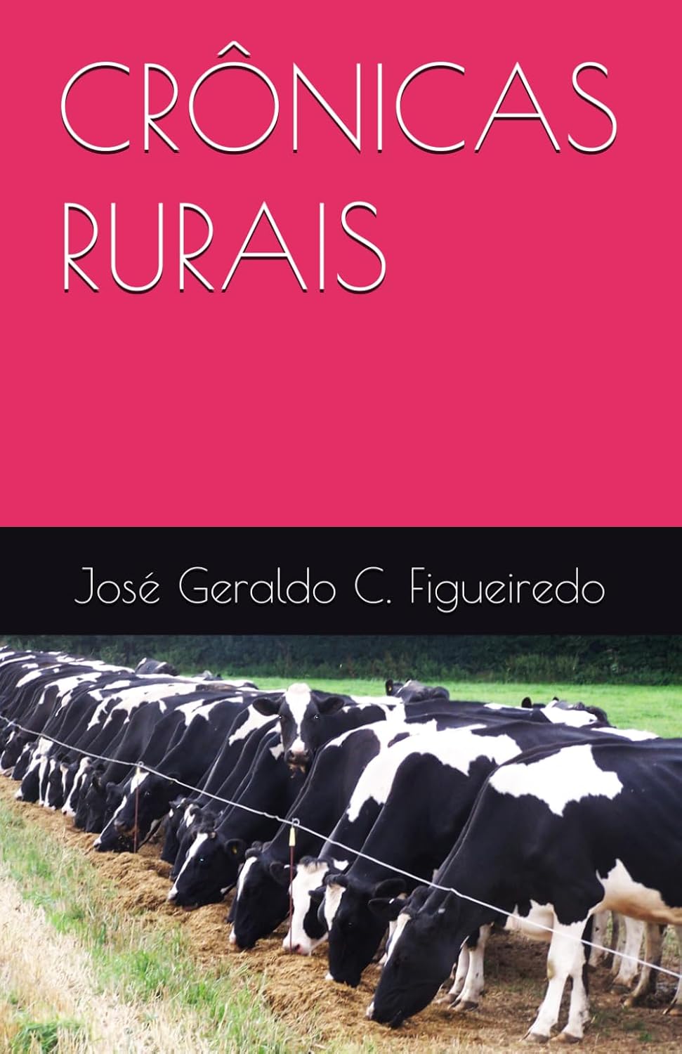CRÔNICAS RURAIS (Portuguese Edition) baixar livro de graça
