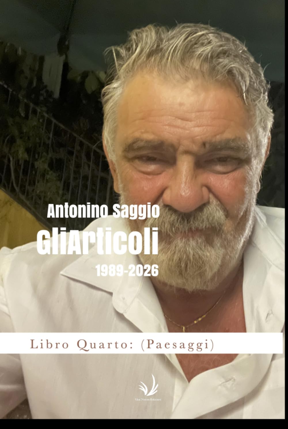 Gli articoli 1989-2026 Libro Quarto: (Paesaggi) (Italian Edition) baixar o livro de graça