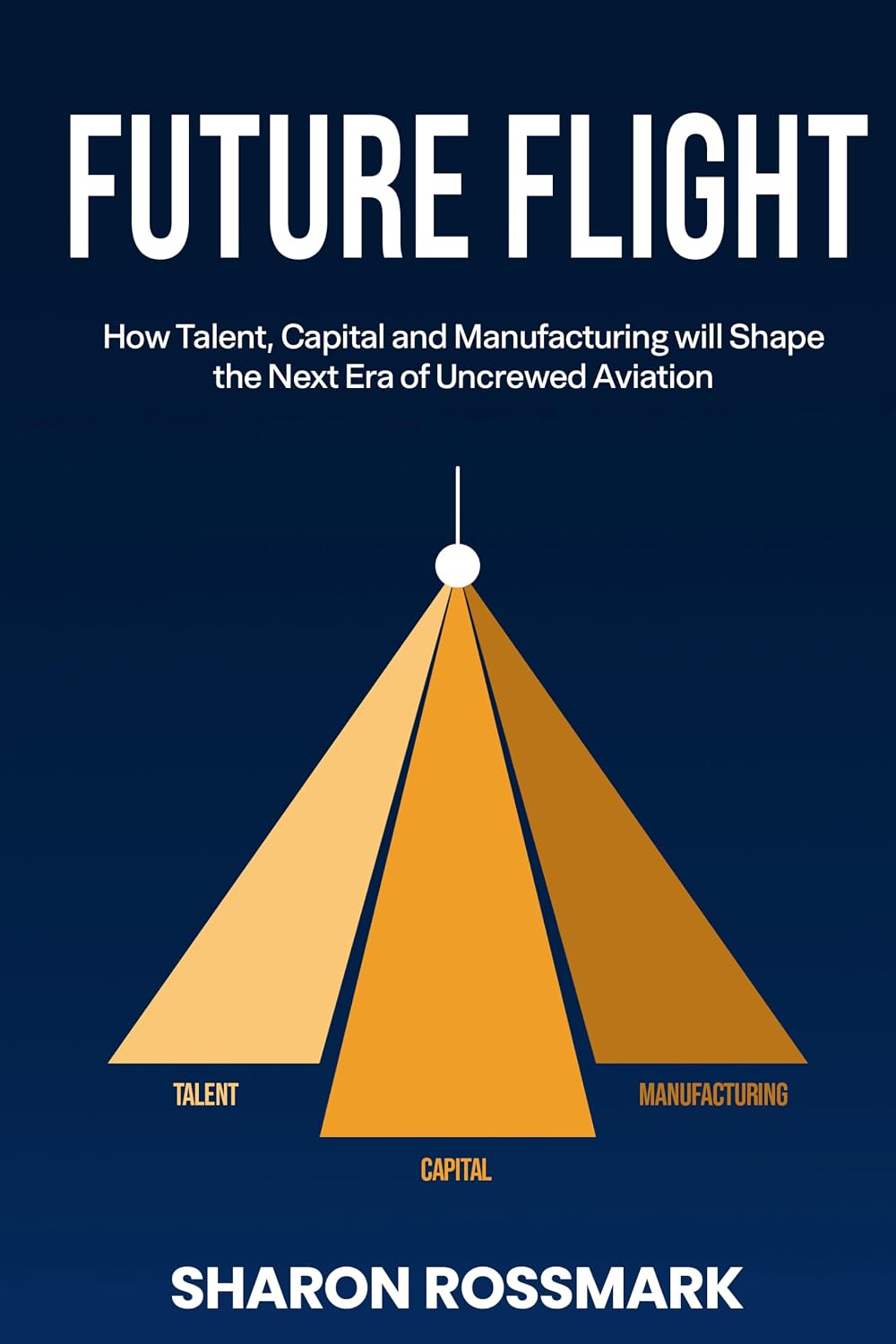 ler totalmente Future Flight: How Talent, Capital and Manufacturing will Shape the Next Era of Uncrewed Aviation (English Edition)