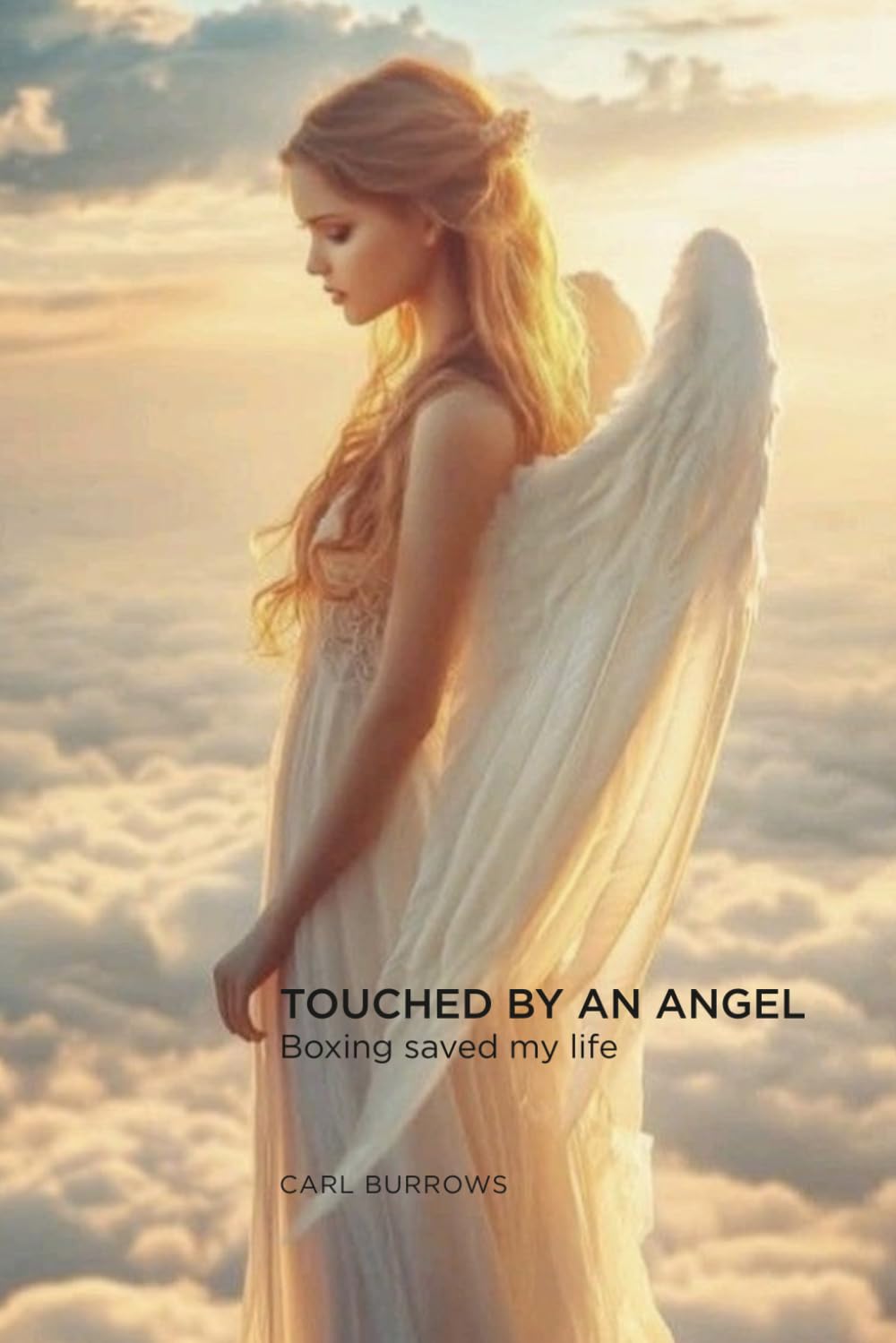 Touched by an Angel: Boxing saved my life baixar o livro de graça