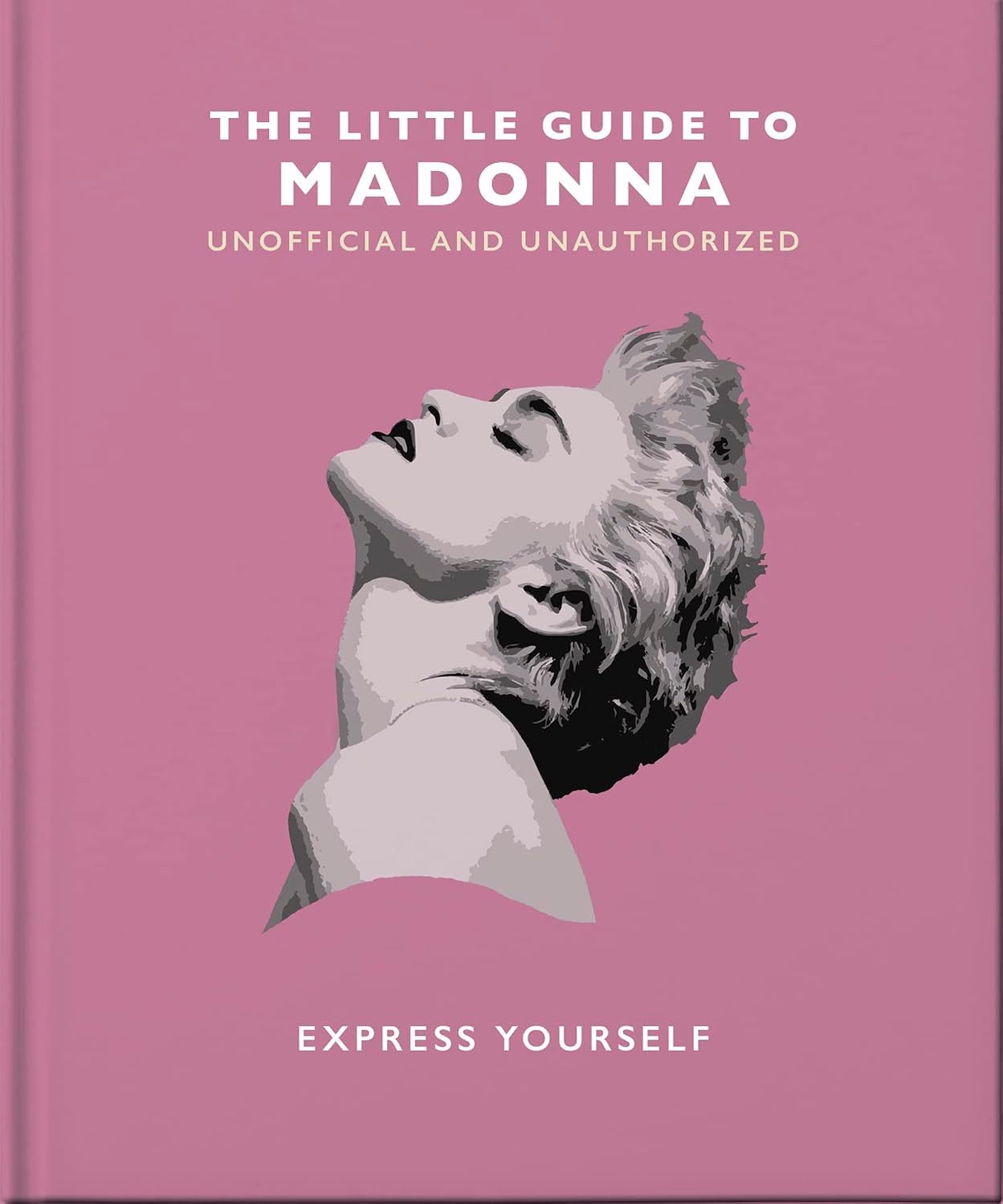 ler totalmente The Little Guide to Madonna: Express Yourself: 19